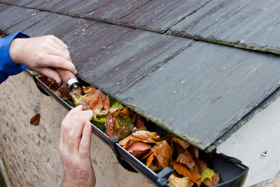 Gutter Clearance